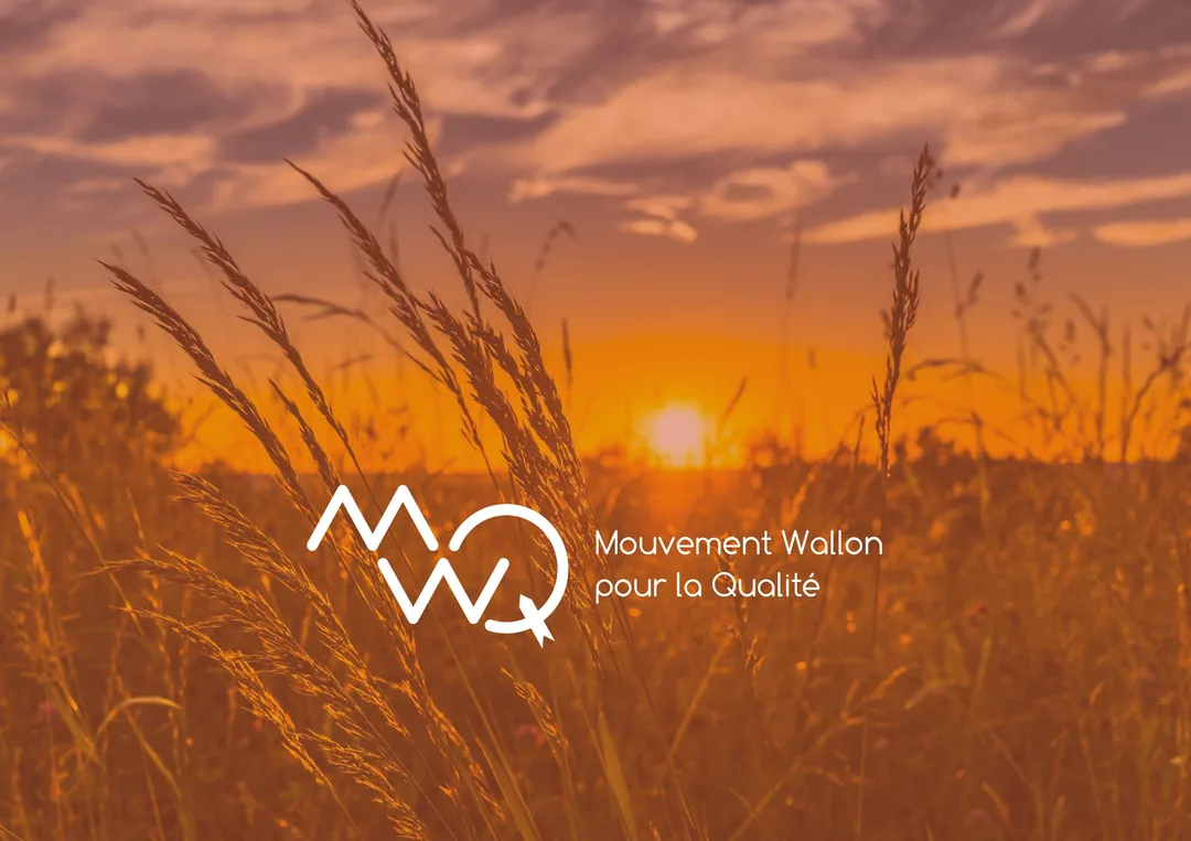 MWQ visuels et présence sur les réseaux sociaux : Un nouvel élan pour la qualité en Wallonie.
